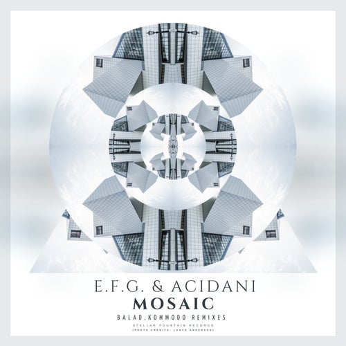 E.F.G., Acidani – Mosaic [STFR009]